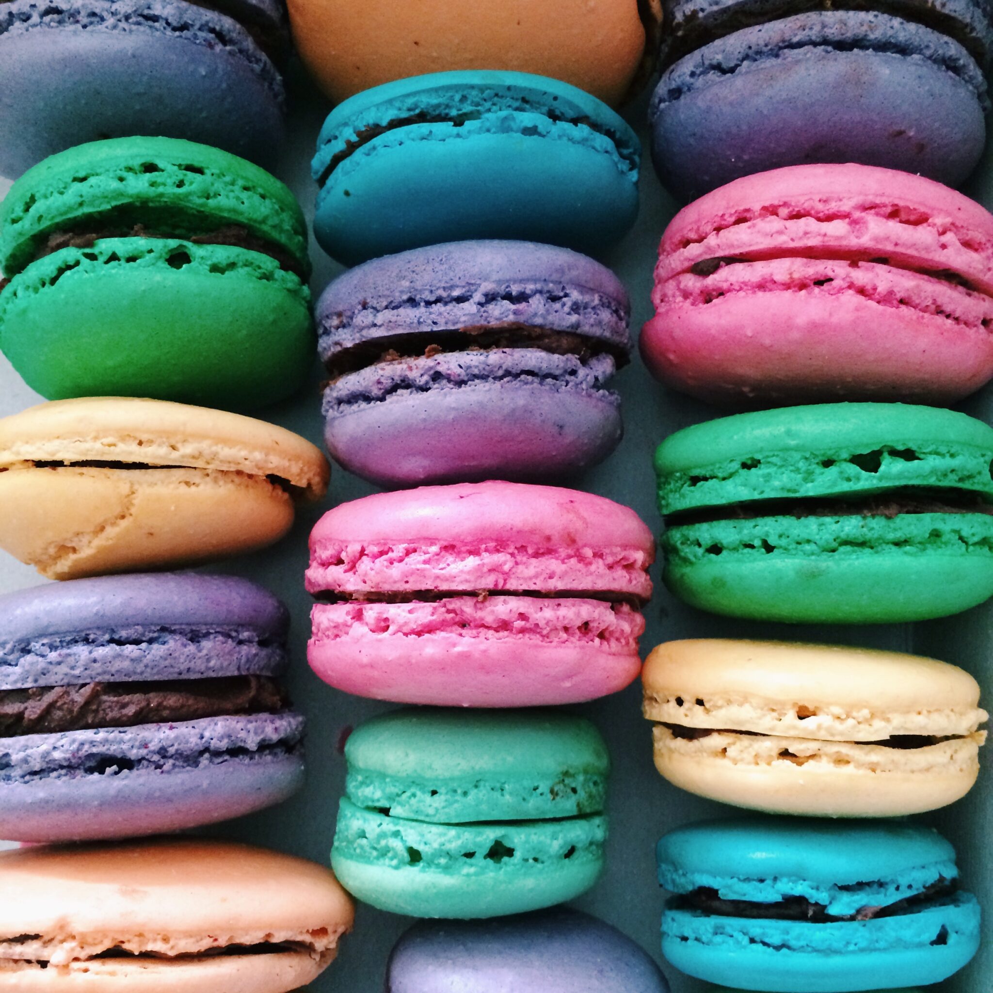 Macaron Workshop by Dreams of Magnolia