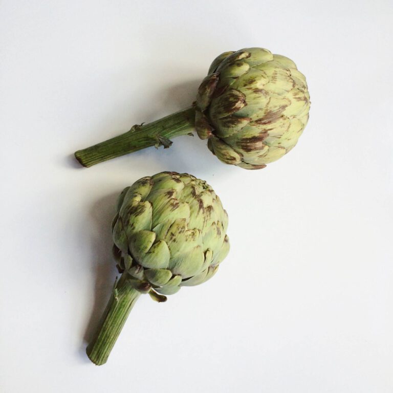 Artisjok recept + avontuur