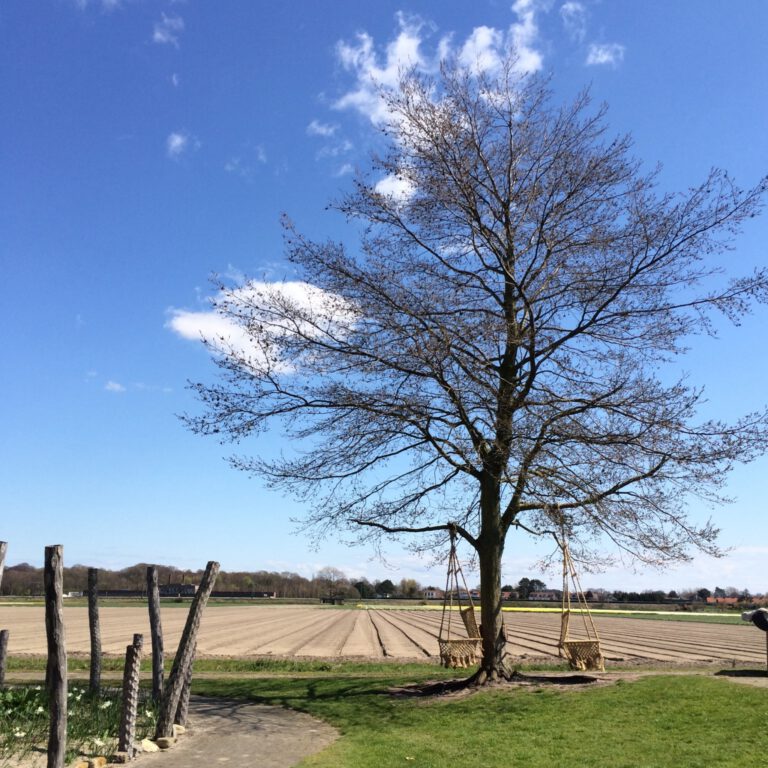 Buitenplaats Plantage in Vogelenzang