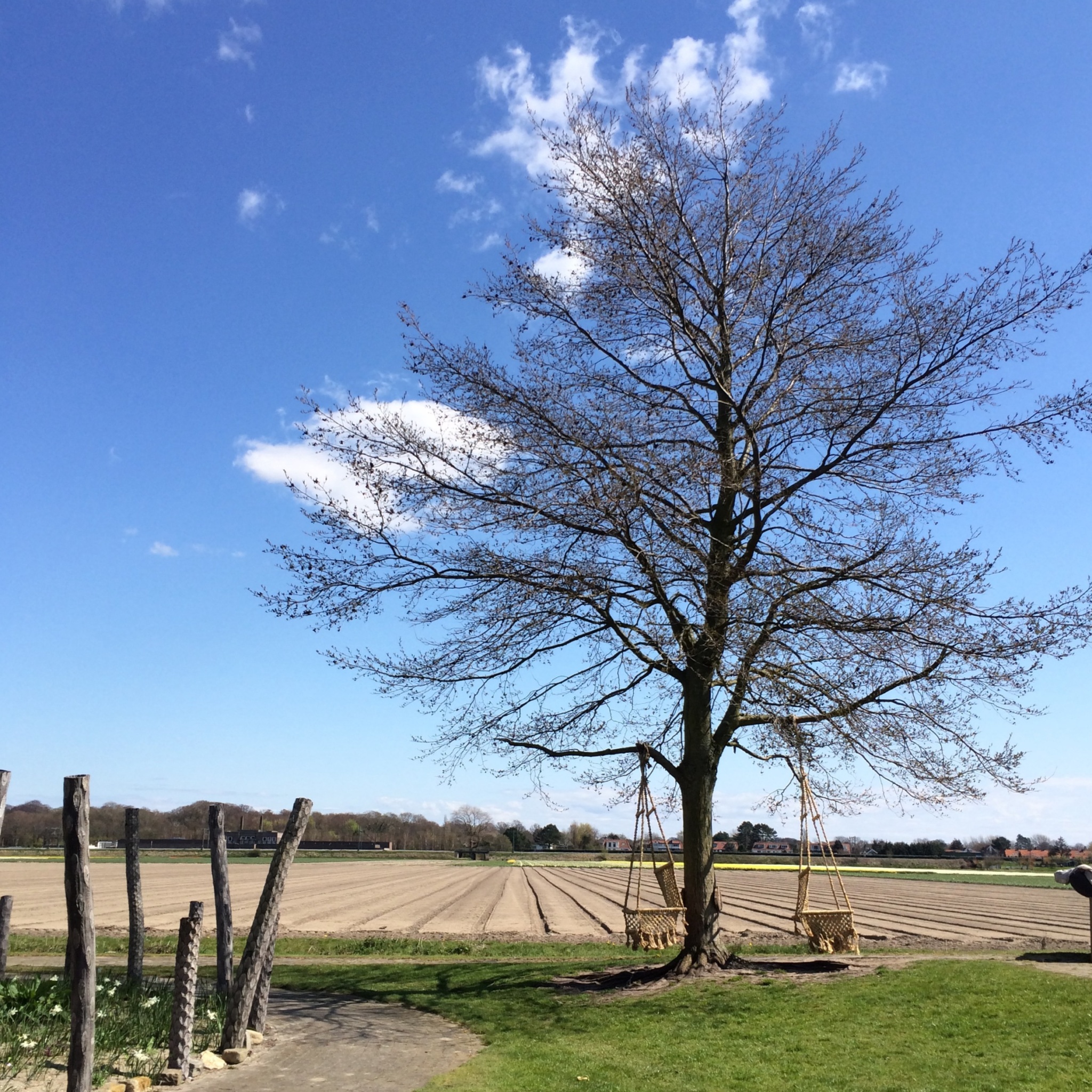 Buitenplaats Plantage in Vogelenzang