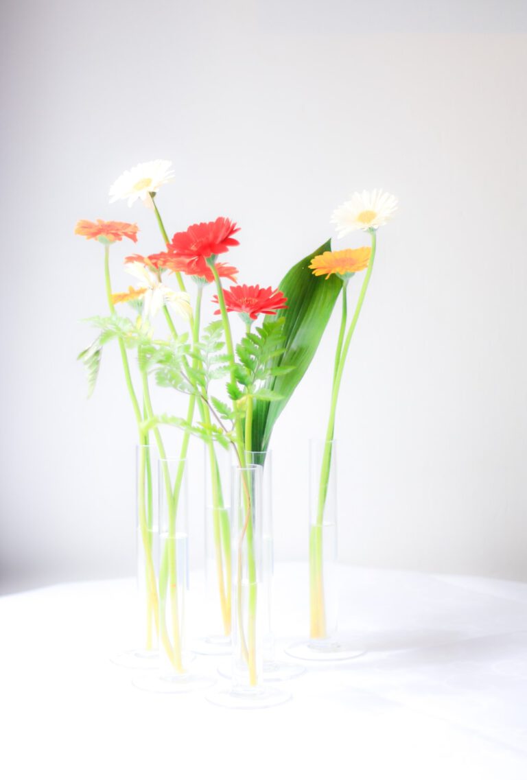 Liever kwaliteit dan kwantiteit??