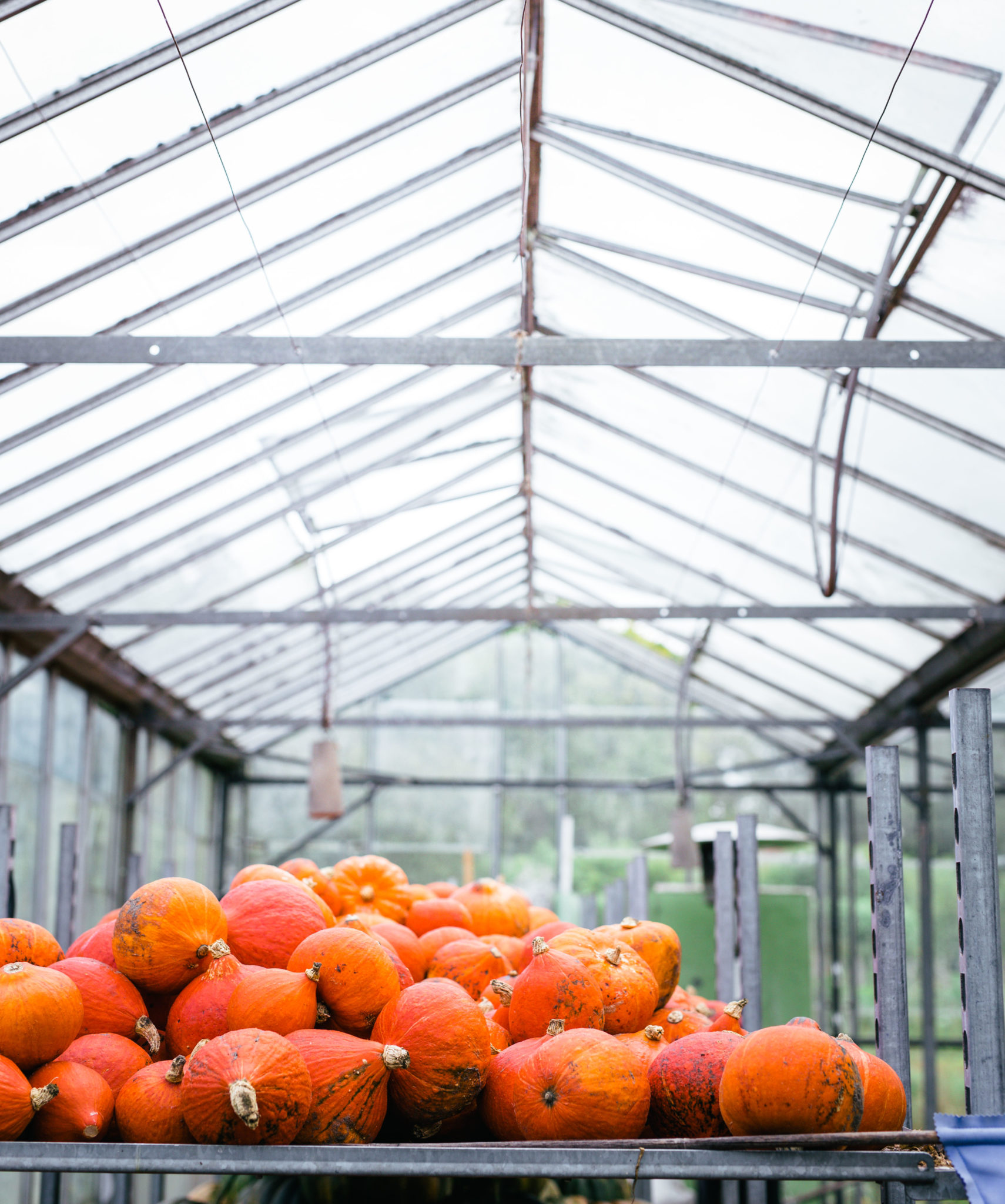 Wat betekent het Biologisch keurmerk voor jou?