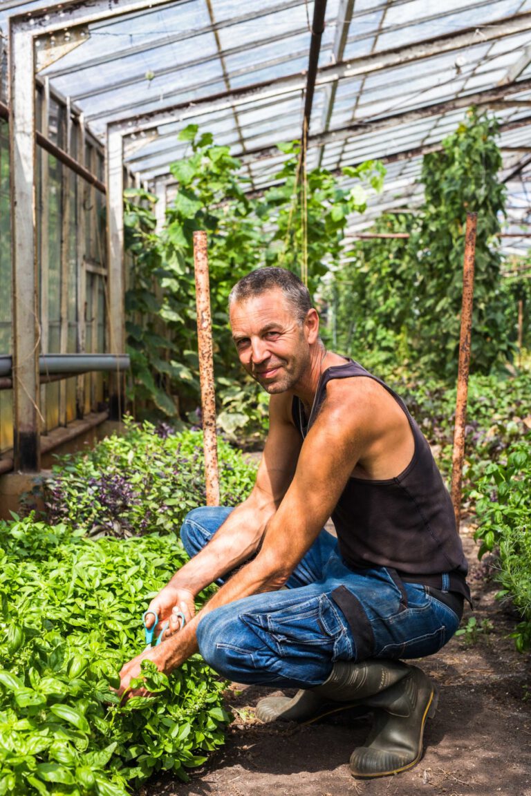 oogst-oost-aalsmeer-1