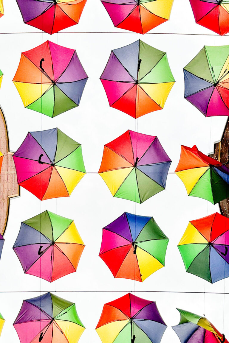 zomervakantie in nederland