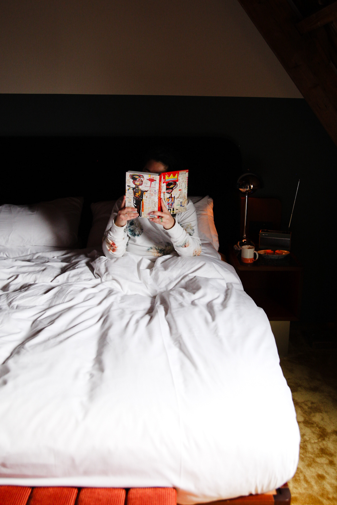 Nachtje the Hoxton Lloyd Amsterdam